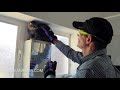 How To Tame WILD FERAL CATS
