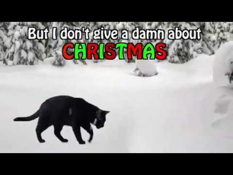 I dont give a damn about Christmas - Talking Kitty Cat