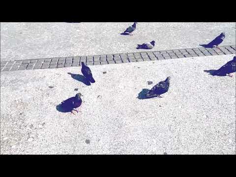 Grand Hotel Traian, Piața Unirii, Iași