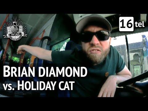 Video thumbnail for Vs. holiday cat [VBT 2018 - HR 16tel-Finale]