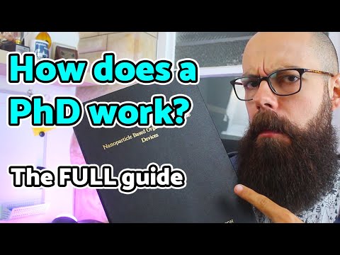 How does a PhD work? The FULL guide!
