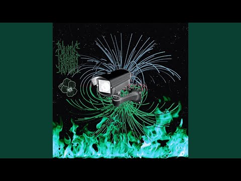 Überwachungssystem (feat. Blunts in the Garden)