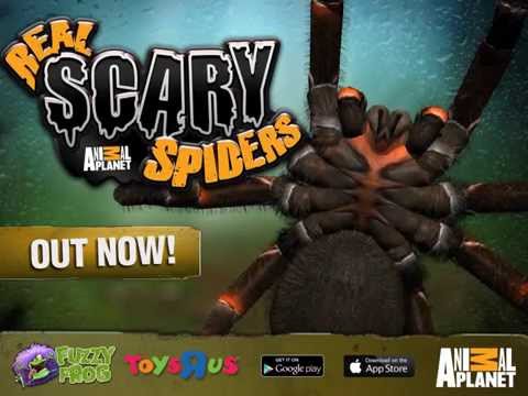 Real Scary Spiders Video