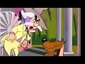 Looney Tunes Dog Gone South Boston Alabama
