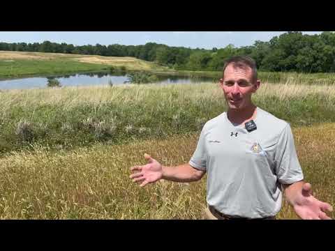 Habitat Hints - Don't Recreational Mow