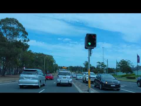 Liverpool Regional Museum to Bringelly