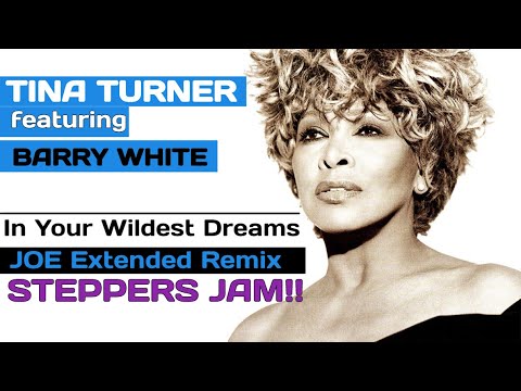 Tina Turner feat Barry White - In Your Wildest Dreams (JOE Extended Remix) R&B 1996