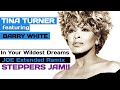 Tina Turner feat Barry White - In Your Wildest ...
