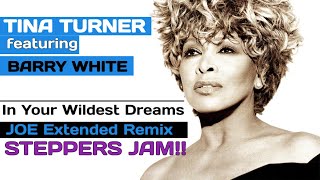 Tina Turner feat Barry White - In Your Wildest Dreams (JOE Extended Remix)