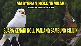 Download lagu TEMBAKAN MEWAH KASAR DAN TAJAM! MASTERAN SUARA KENARI NGEROLL PANJANG SAMBUNG CILILIN! mp3 Download lagu TEMBAKAN MEWAH KASAR DAN TAJAM! MASTERAN SUARA KENARI NGEROLL PANJANG SAMBUNG CILILIN! mp3
