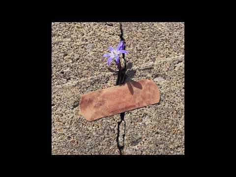 Matt Van – love/hate