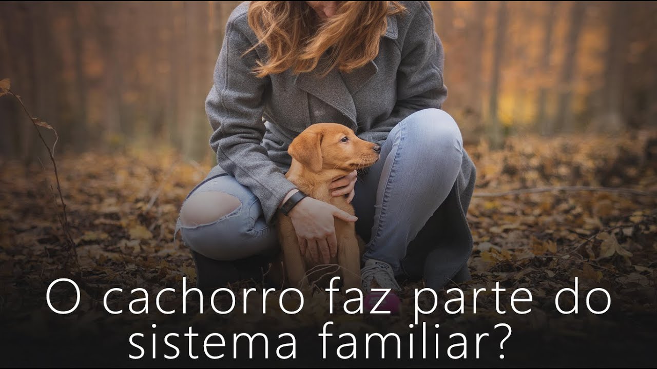 Seu cachorro faz parte da família? | Constelação Familiar na Prática #09