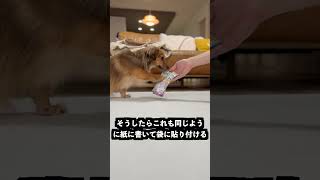 入浴剤の中身を当てる裏技試してみた！