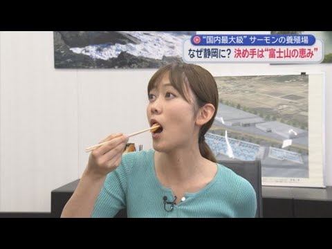YouTube Video 店頭に並ぶ「静岡産サーモン」一番の売りは「鮮度」　日本初の養殖場に静岡・小山町を選んだワケは『水』　　　
