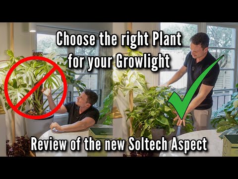 The perfect Spotlight for your Plants - review of the new Soltech Aspect Gen 2