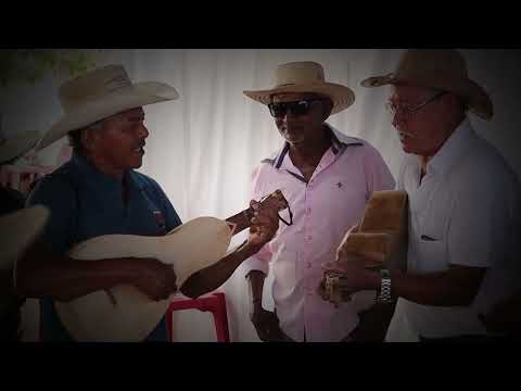 PROJETO MEMÓRIA VIVA - MATO GROSSO TEM HISTÓRIA - VIOLA DE COCHO
