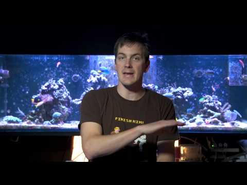 Mr. Saltwater Tank Friday AM Quick Tip #146: How To Safely Increase The Depth Of Your Sand Bed