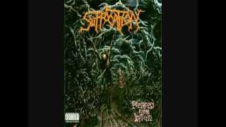 Suffocation - Torn into Enthrallment (Studio)