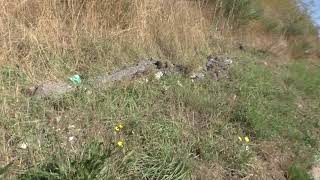 scempio-ambientale-lungo-la-variante-ad-ariano