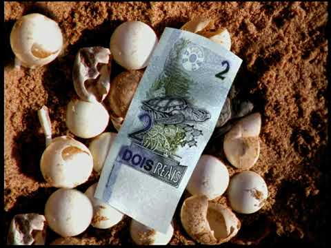 Vídeo: Nota 2 reais: perguntas e respostas sobre a cédula