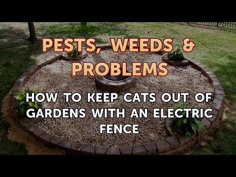 How to Keep Cats Out of Gardens with an Electric Fence