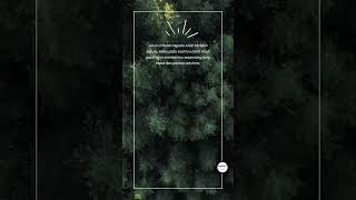 Download lagu kata2 bijak cinta | story wa islami tentang jodoh #shorts #nasihatdirichannel #renungan #storywa mp3 Download lagu kata2 bijak cinta | story wa islami tentang jodoh #shorts #nasihatdirichannel #renungan #storywa mp3