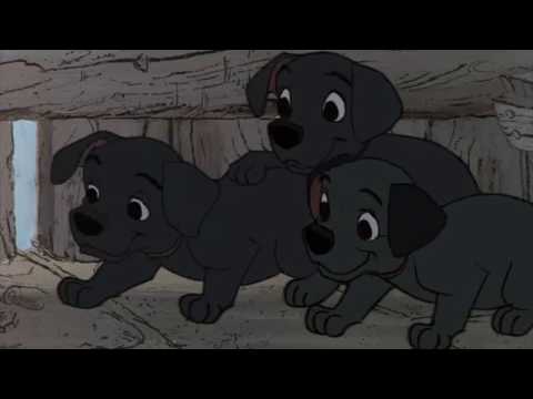 101 DALMATIANS DISGUISED AS LABRADORS - YouTube