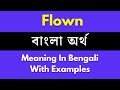 Flown Meaning in Bengali/ Flown শব্দের বাংলা ভাষায় অর্থ অথবা মা