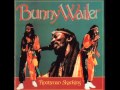 Bunny Wailer - Jammins