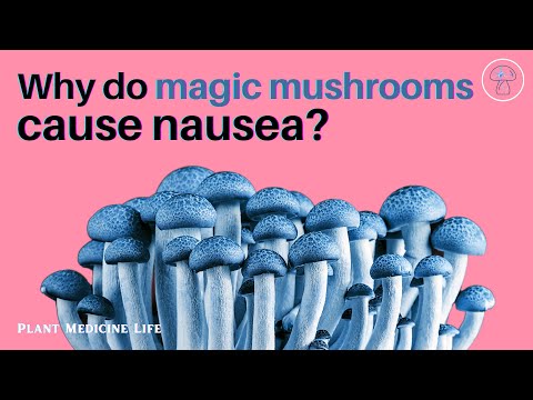 Why do Magic Mushrooms Cause Nausea?