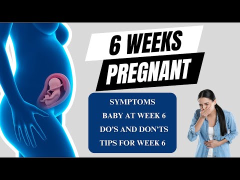 6 Weeks Pregnant? Baby’s Growth, Symptoms & Must-Know Tips!