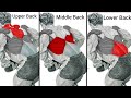 Top 4 Exercises Upper Middle & Lower Back Workout at Gym for Big Wide Back