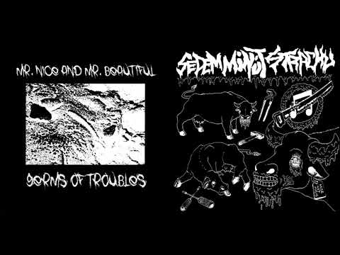 MR. NICE AND MR. BEAUTIFUL / SEDEM MINÚT STRACHU - Split 7" (2020)