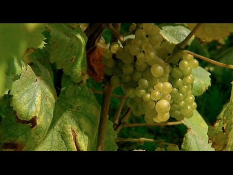 (Neue Doku!) Reisen für Genießer - Frankreich - Nantes [HD]