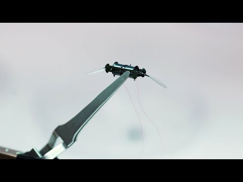 INSECT ROBOTS