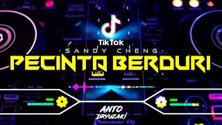 Download lagu DJ PECINTA BERDURI || VIRAL TIKTOK‼️ FUNKOT VERSION mp3