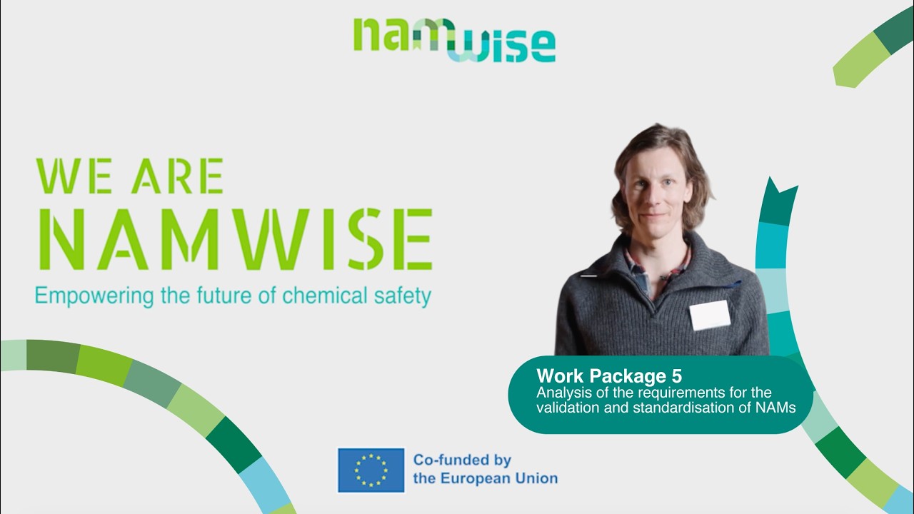 NAMWISE Voices | WP5: Validation and Standardisation of NAMs