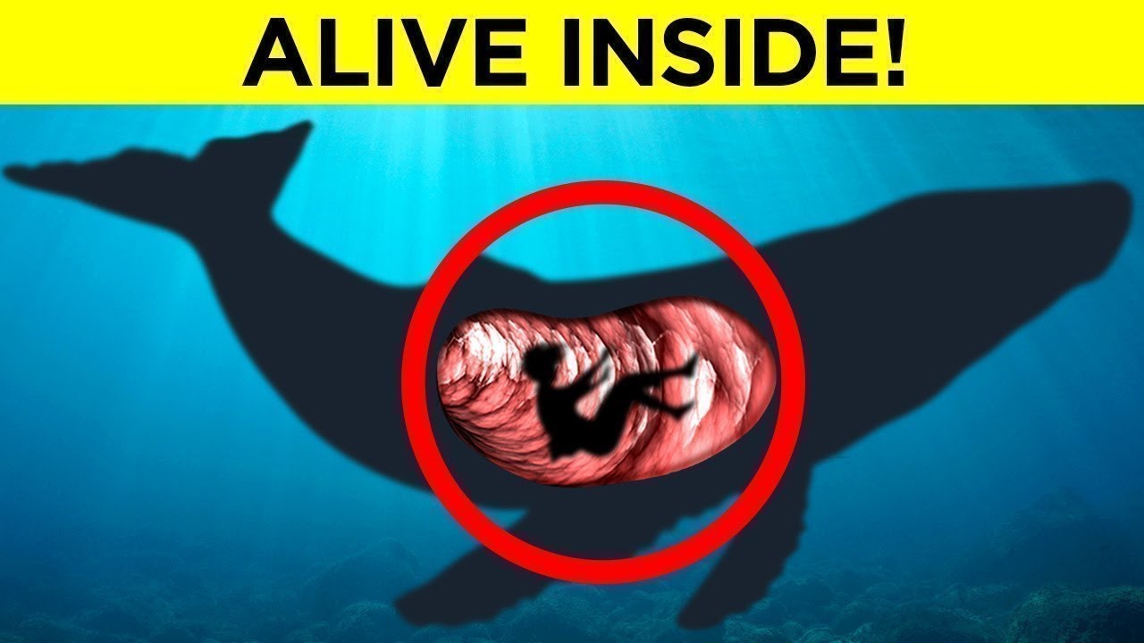 IMPOSSIBLE Places People Were Found - Part 2