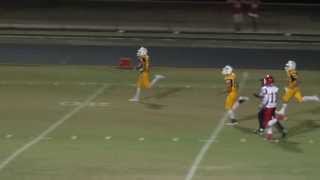 preview picture of video '2013 - Collinsville vs Sacred Heart - John Lewis TD'