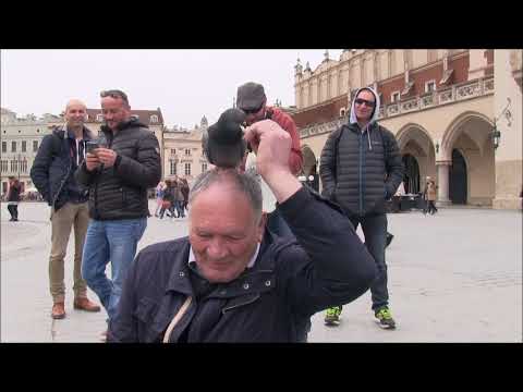 STROLLAD EUROTOUR 2017