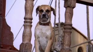 Download lagu Toate pânzele sus - episodul 6, pe 23 iulie, la TVR1 mp3 Download lagu Toate pânzele sus - episodul 6, pe 23 iulie, la TVR1 mp3