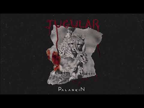 Jugular video