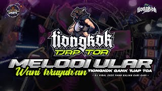 Download lagu DJ SPESIAL MELODI ULAR X TIONGKOK TJAP TOA #bofagotiongkok mp3