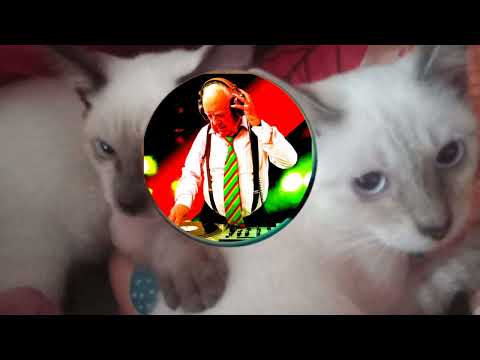 With me happy I am sorry