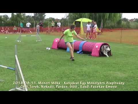 2018.08.11.  Monori Móka agility