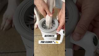 An automatic paw cleaner 🙌🐾 #dog #dogs #paw #paws #clean