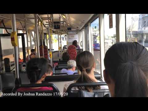 STA Sydney Buses m/o 1361 - Mercedes Benz O 405NH CNG (ZF Ecomat)