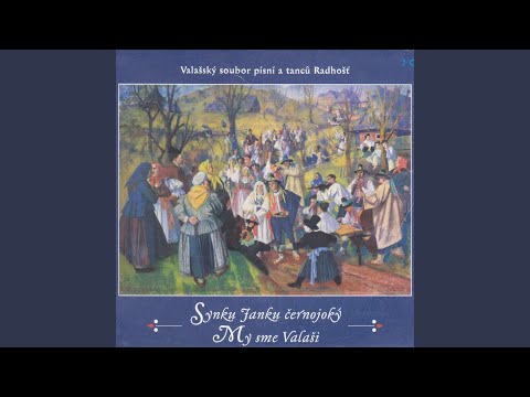 Zdálo sa ně, zdálo