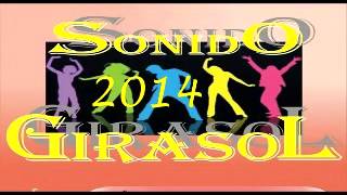 SONIDO GIRASOL _  SO BAGUAL ( DIFUSION 2014 )