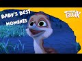 Baby Ostrich's Best Moments – Munki and Trunk Thematic Compilation #22